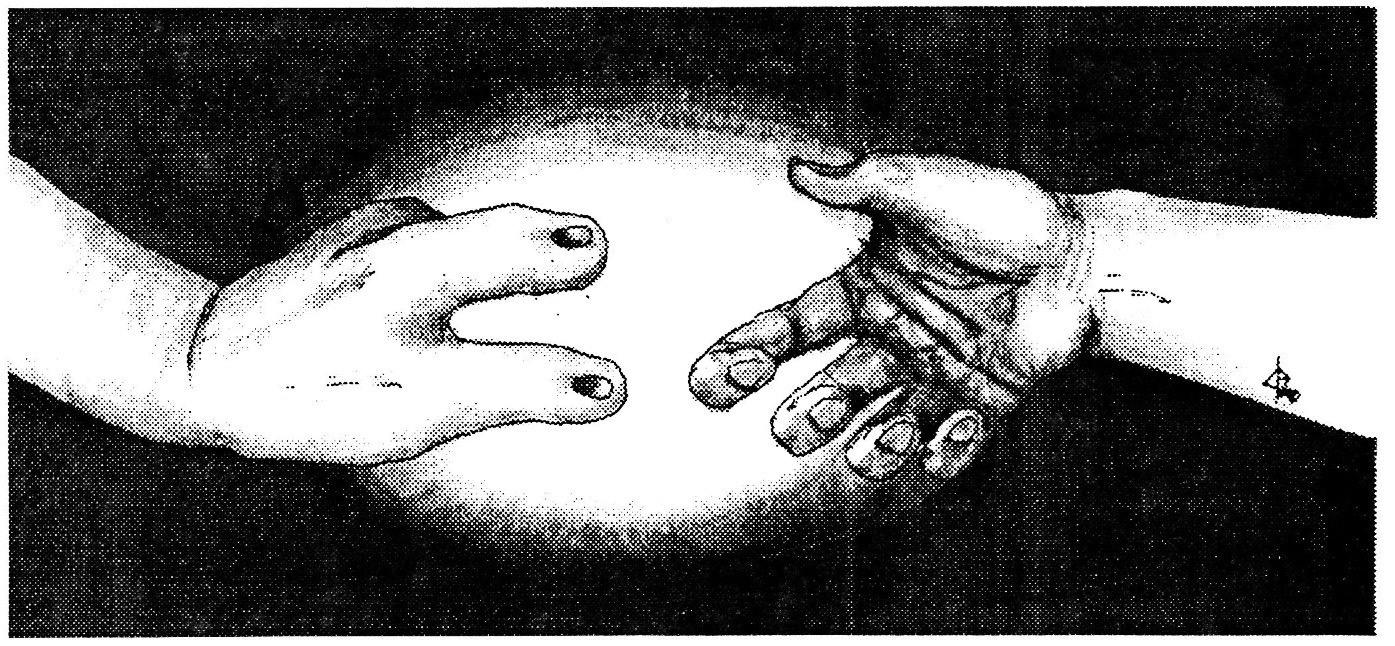 Eebeck and Human handshake